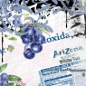 Чай с молоком со вкусом черники Arizona 